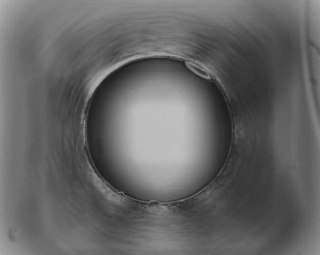 X0000103471524200809191823