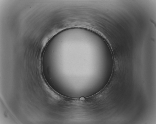 X0000103471525200809191823