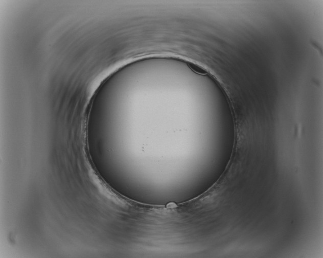 X0000103471526200809191823