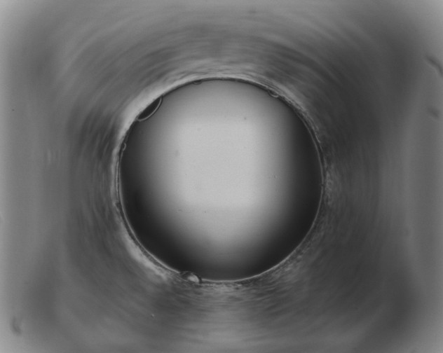 X0000103471528200809191823