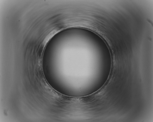 X0000103471529200809191823