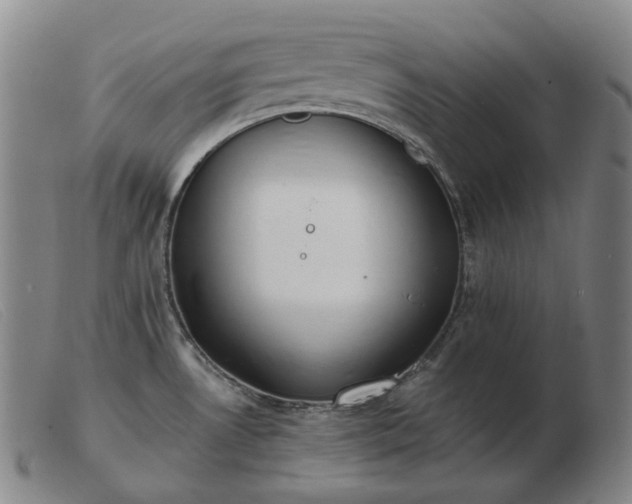 X0000103471530200809191823