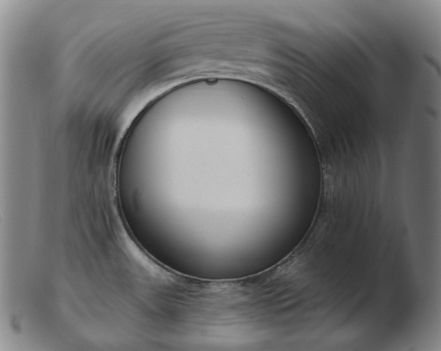 X0000103471531200809191823