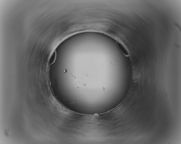 X0000103471532200809191823