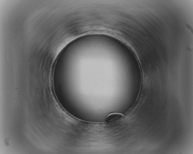 X0000103471533200809191823