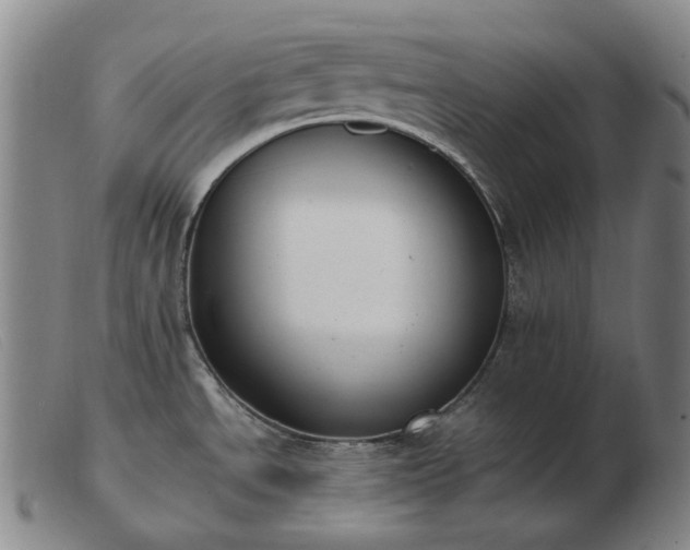 X0000103471534200809191823