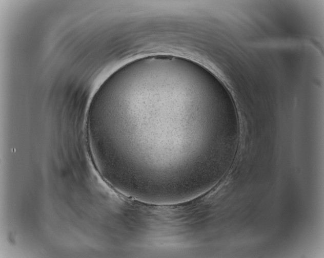 X0000103471536200809191823