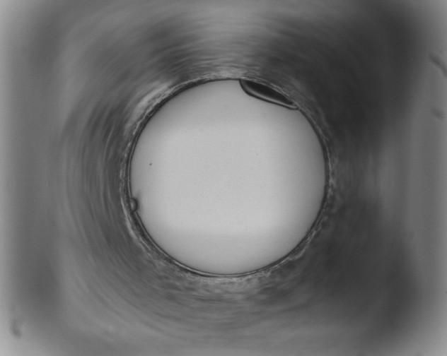 X0000103470001200809261915