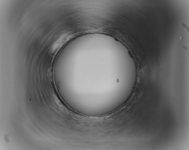 X0000103470002200809261915