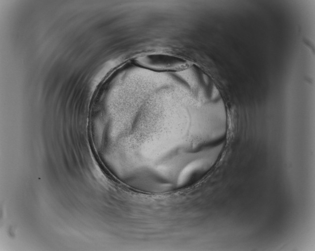 X0000103470003200809261915