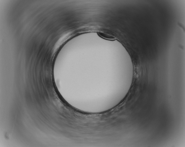 X0000103470004200809261915