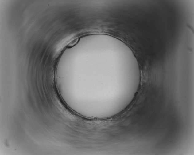 X0000103470005200809261915