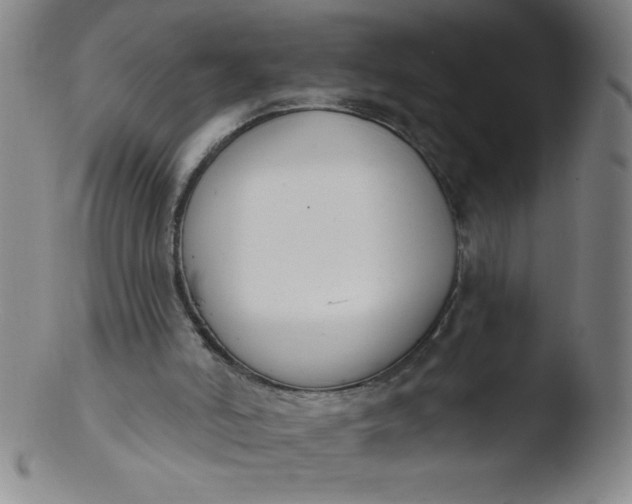 X0000103470006200809261915