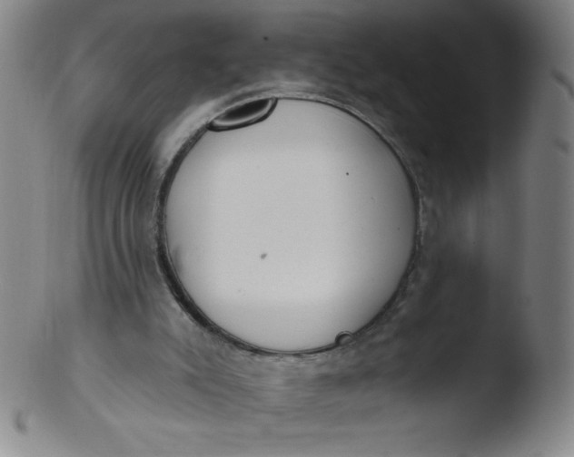 X0000103470007200809261915