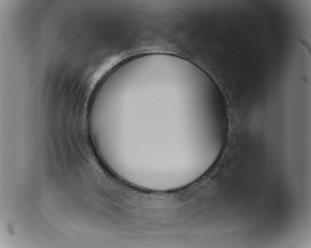 X0000103470008200809261915