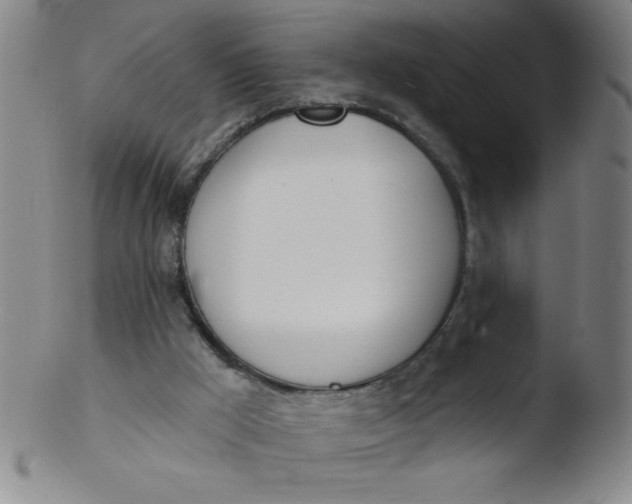 X0000103470009200809261915