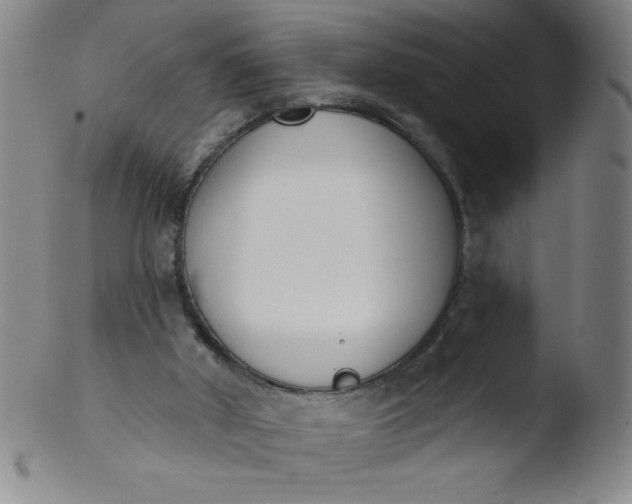 X0000103470010200809261915