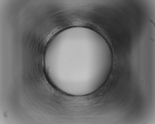 X0000103470011200809261915