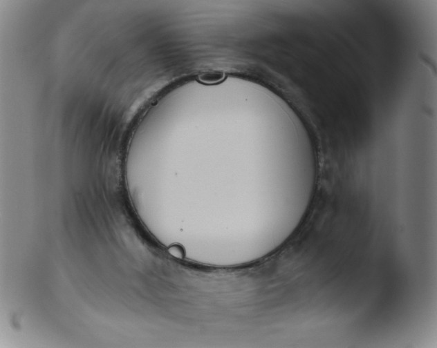 X0000103470012200809261915