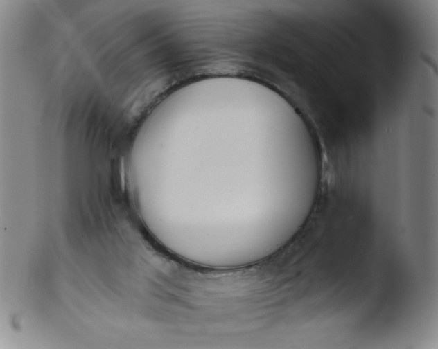 X0000103470013200809261915