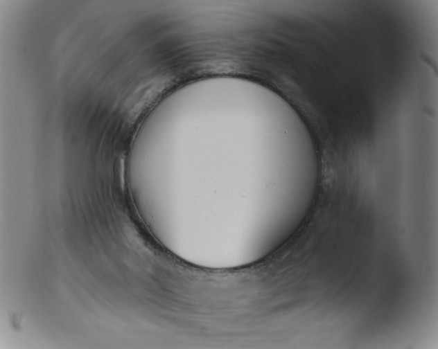 X0000103470014200809261915