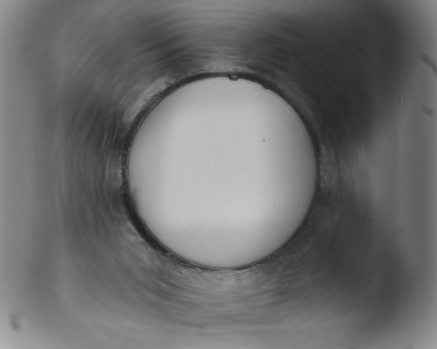 X0000103470015200809261915