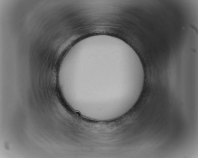 X0000103470016200809261915