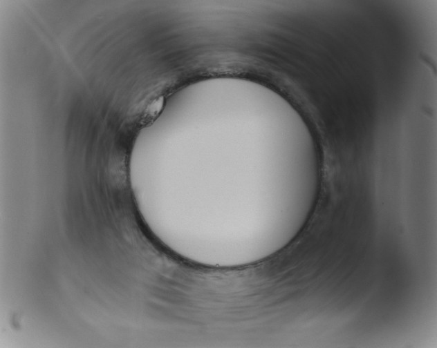 X0000103470017200809261915