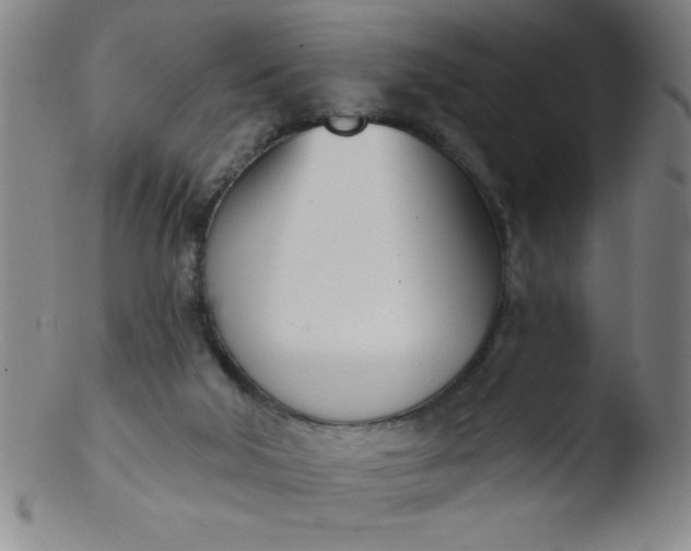 X0000103470018200809261915