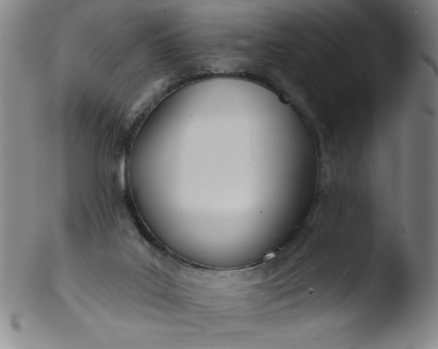 X0000103470019200809261915