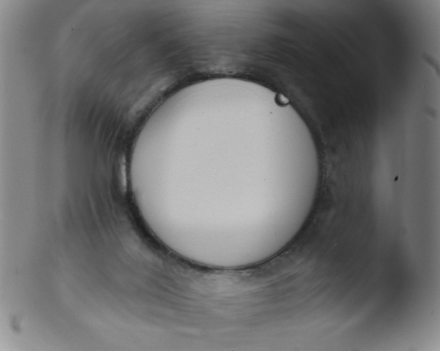 X0000103470020200809261915