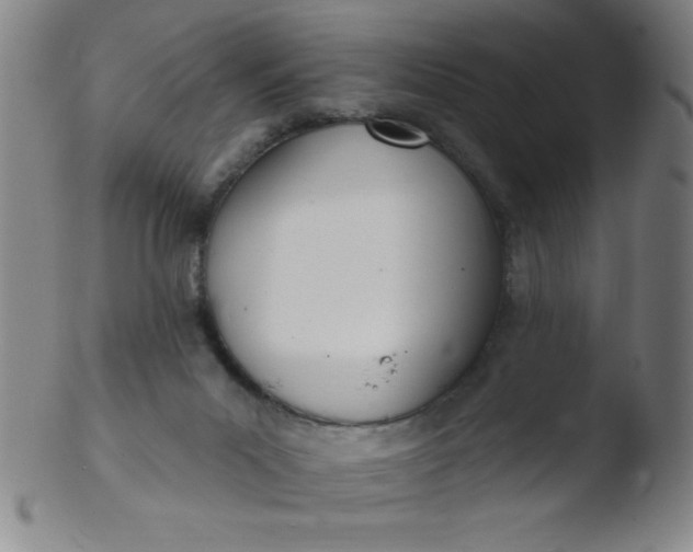 X0000103470023200809261915