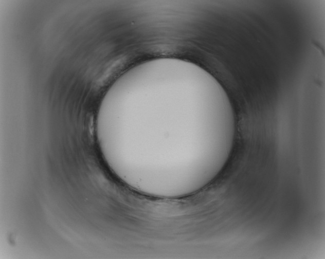 X0000103470024200809261915