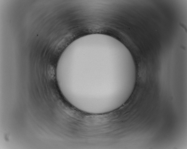 X0000103470025200809261915