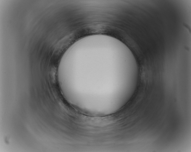 X0000103470026200809261915