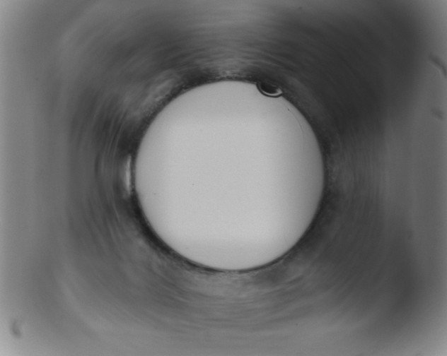 X0000103470028200809261915