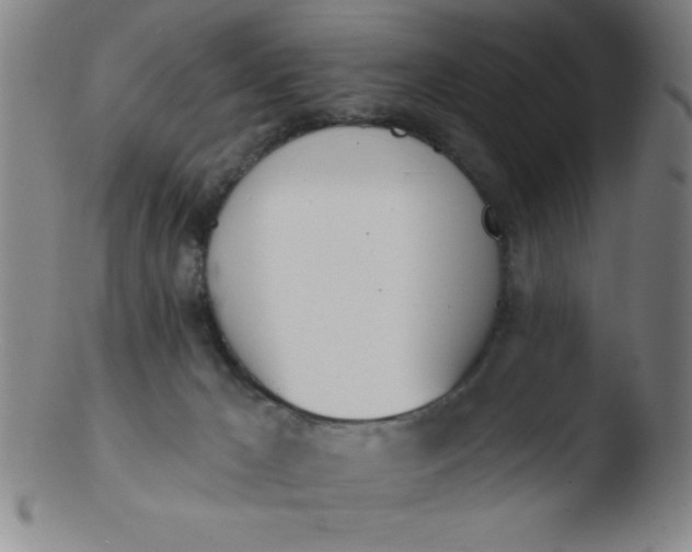 X0000103470029200809261915