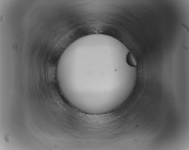 X0000103470030200809261915