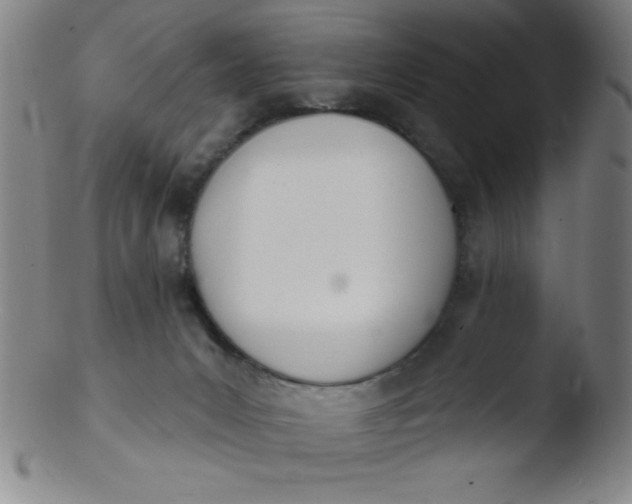 X0000103470031200809261915