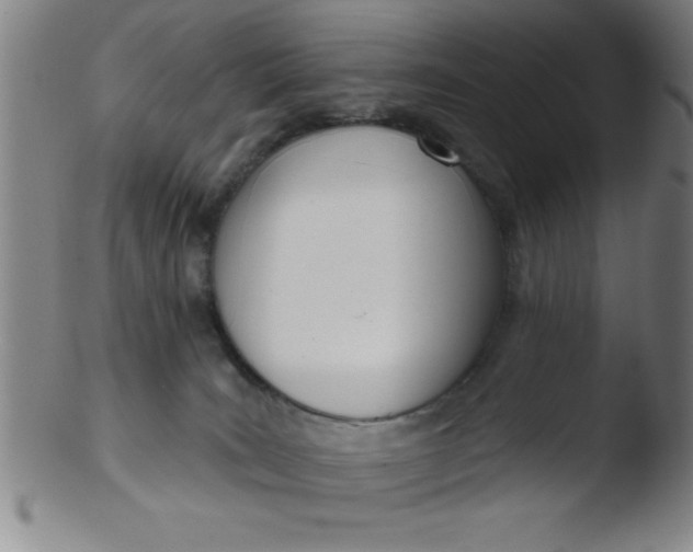 X0000103470035200809261915