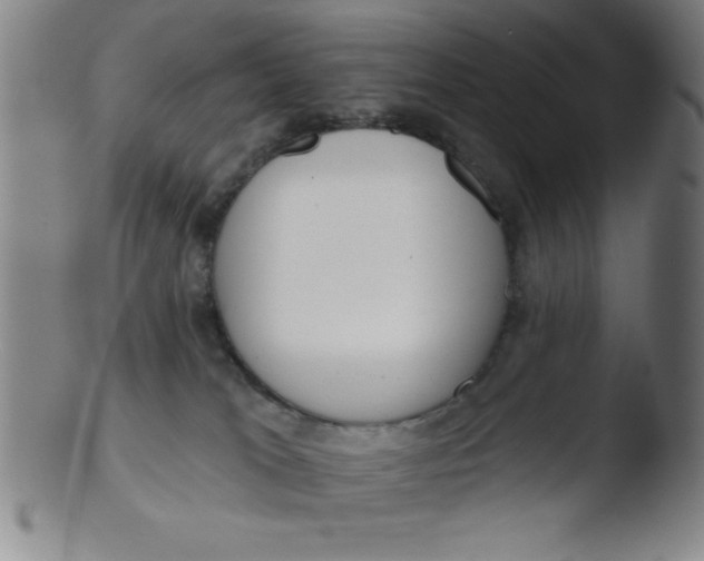 X0000103470037200809261915