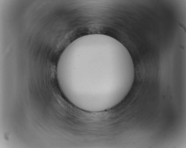 X0000103470038200809261915