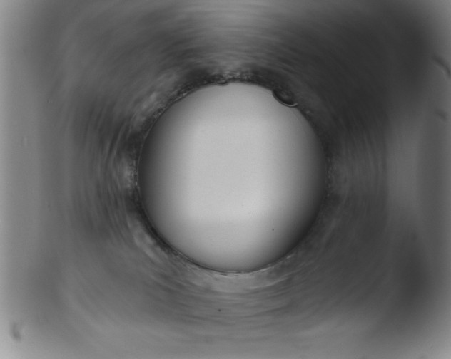 X0000103470039200809261915