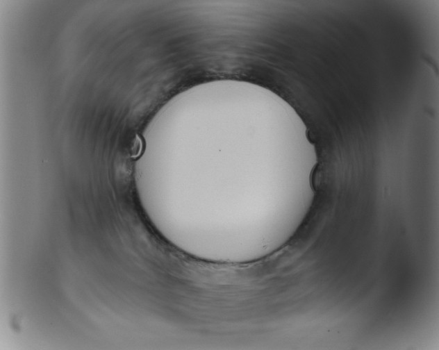 X0000103470040200809261915