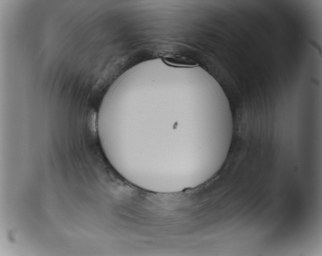 X0000103470041200809261915