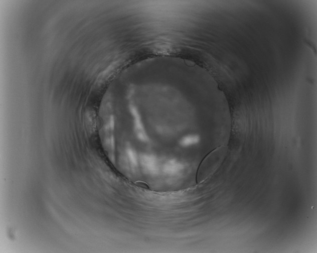 X0000103470043200809261915