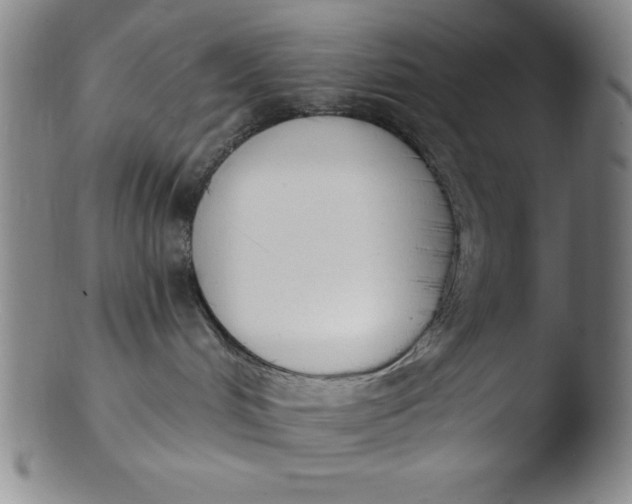 X0000103470048200809261915