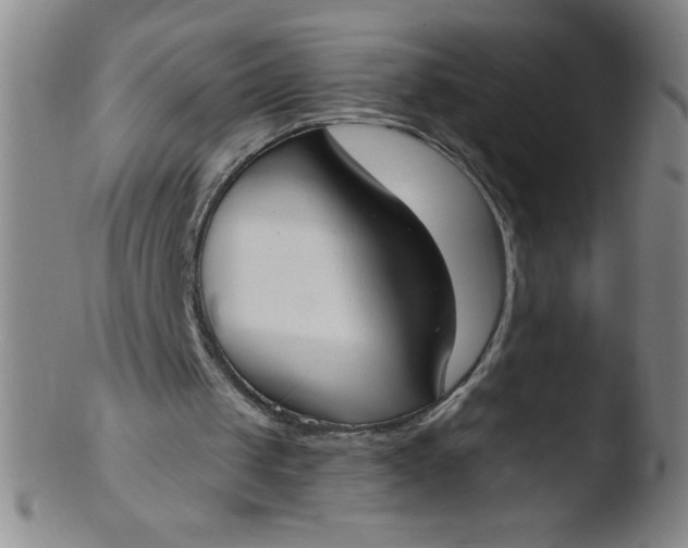 X0000103470049200809261914