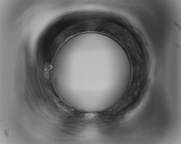 X0000103470050200809261914