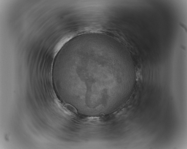 X0000103470052200809261914